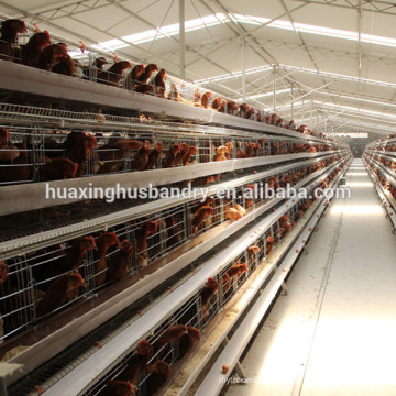 2015 The Most Popular Automatic chicken brooder cage